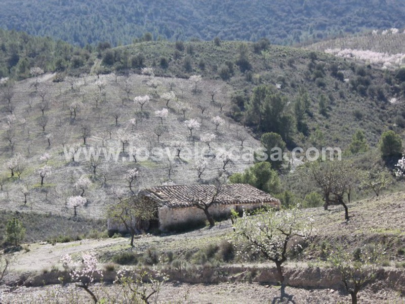 LVC121: Granja Pequeña en venta en Fontanares, Murcia