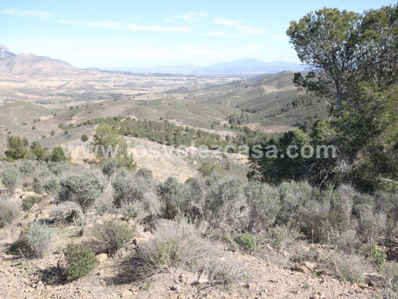 LVC121: Granja Pequeña en venta en Fontanares, Murcia