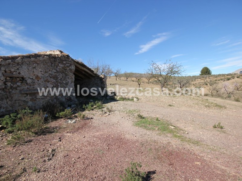 LVC121: Granja Pequeña en venta en Fontanares, Murcia