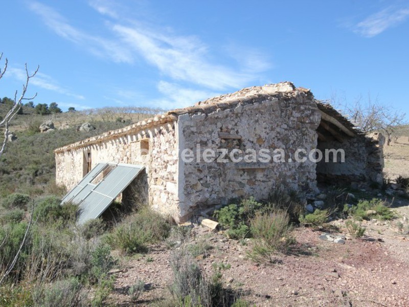 LVC121: Granja Pequeña en venta en Fontanares, Murcia