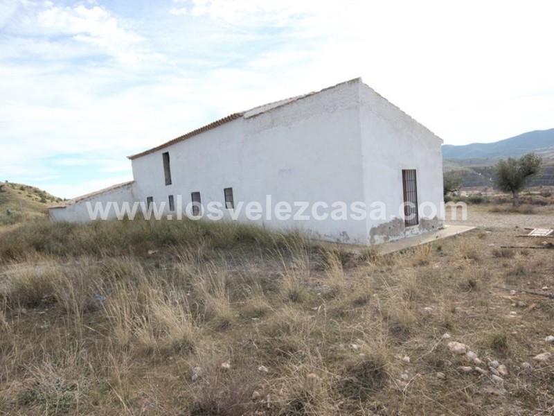 LVC193: Small Holding for sale in Velez-Blanco, Almería