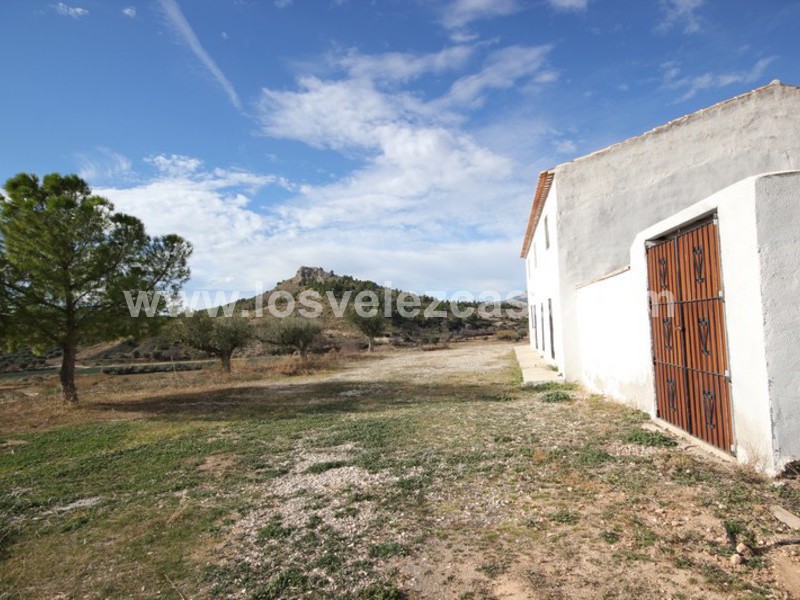 LVC193: Small Holding for sale in Velez-Blanco, Almería