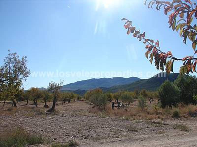 LVC210: Detached Character House for sale in Velez-Rubio, Almería