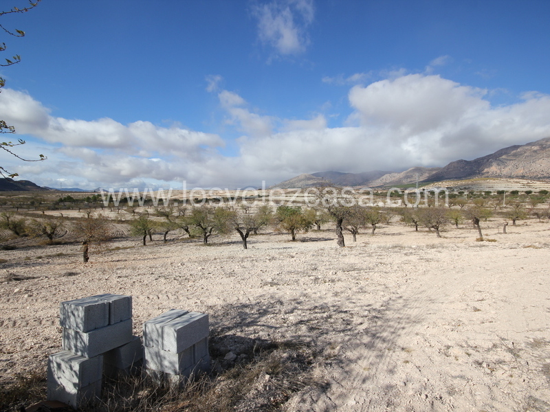 LVC210: Detached Character House for sale in Velez-Rubio, Almería