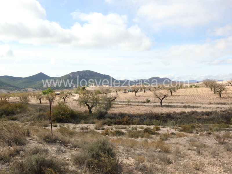 LVC210: Detached Character House for sale in Velez-Rubio, Almería