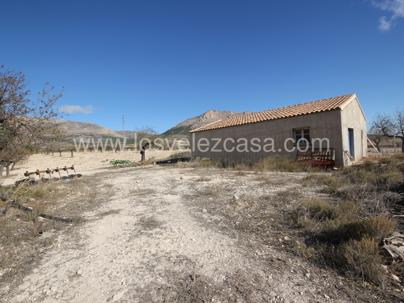 LVC210: Detached Character House for sale in Velez-Rubio, Almería