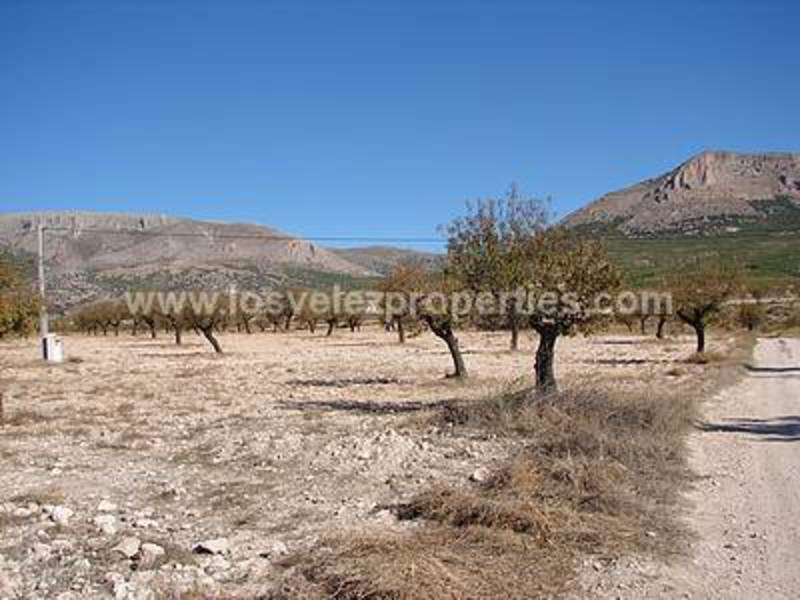 LVC210: Detached Character House for sale in Velez-Rubio, Almería