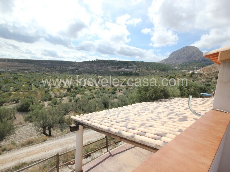 LVC215: Detached Character House for sale in Velez-Blanco, Almería