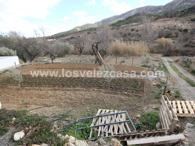 LVC295: Cortijo Reformada en venta en Velez-Rubio, Almería