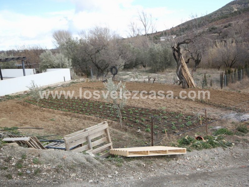 LVC295: Cortijo Reformada en venta en Velez-Rubio, Almería