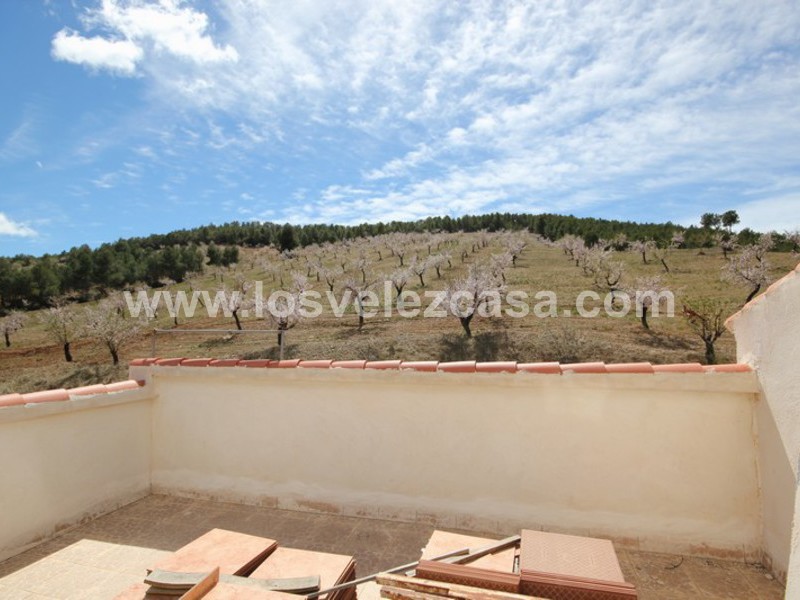 LVC298: Small Holding for sale in Velez-Rubio, Almería