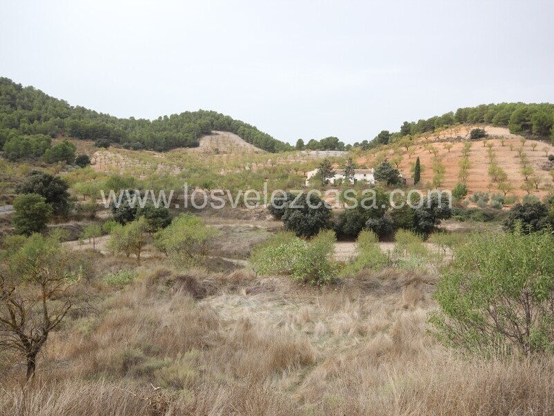 LVC298: Small Holding for sale in Velez-Rubio, Almería