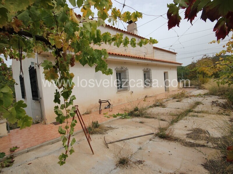 LVC298: Small Holding for sale in Velez-Rubio, Almería