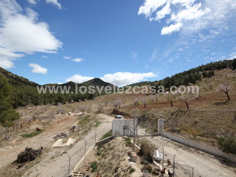 LVC298: Small Holding for sale in Velez-Rubio, Almería