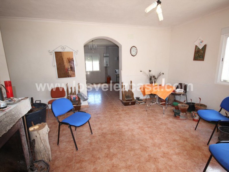 LVC298: Small Holding for sale in Velez-Rubio, Almería