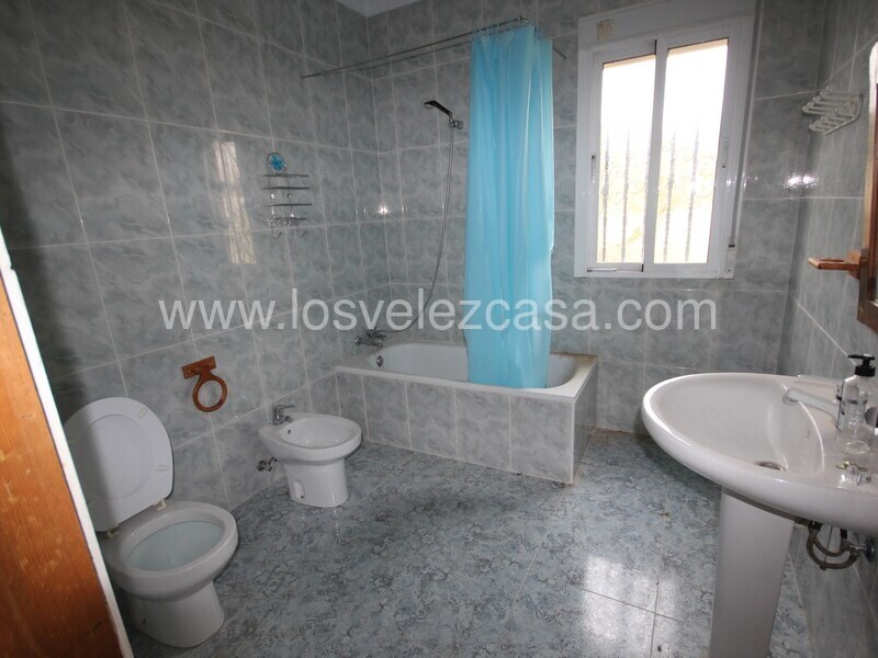 LVC298: Small Holding for sale in Velez-Rubio, Almería