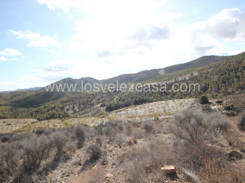 LVC299: Country Property to Reform for sale in Umbria, Murcia