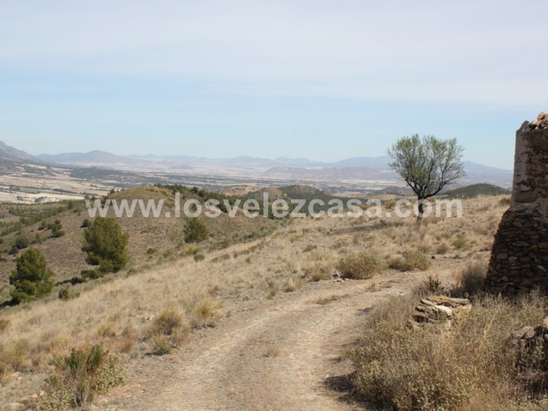 LVC299: Country Property to Reform for sale in Umbria, Murcia