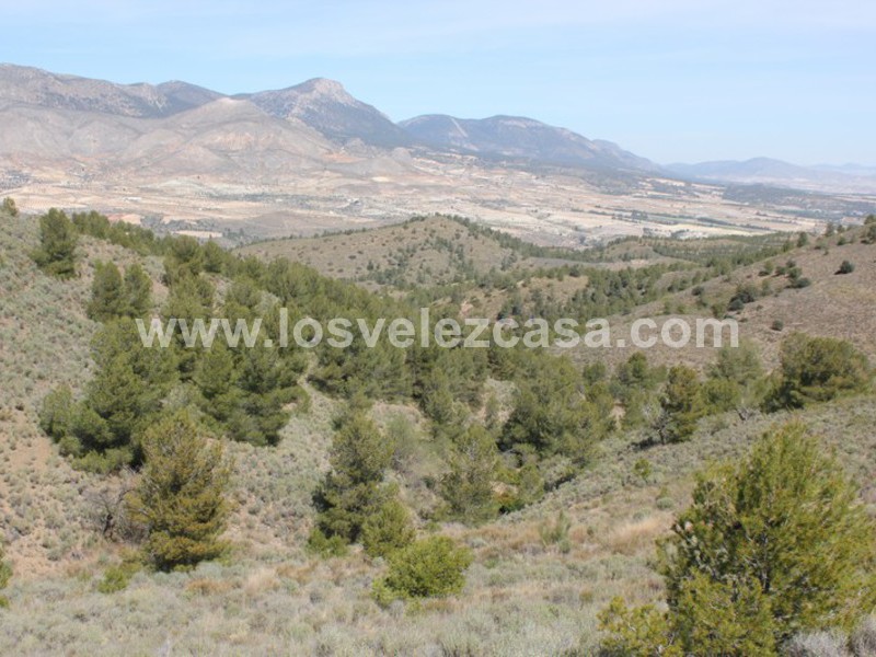 LVC299: Country Property to Reform for sale in Umbria, Murcia