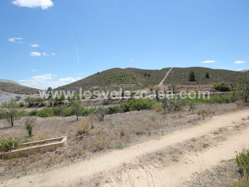 LVC309: Country Property to Reform for sale in Velez-Rubio, Almería