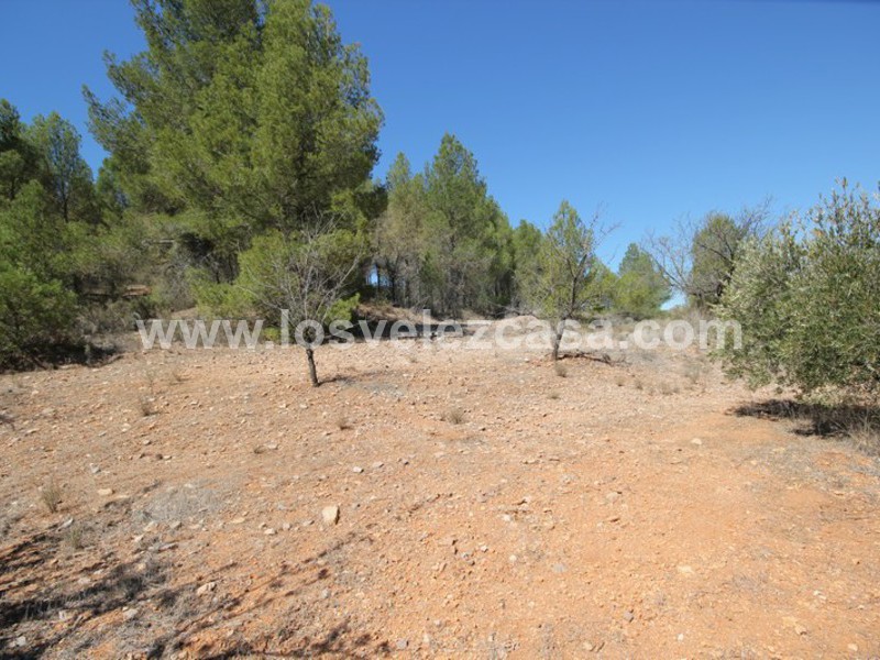 LVC309: Country Property to Reform for sale in Velez-Rubio, Almería