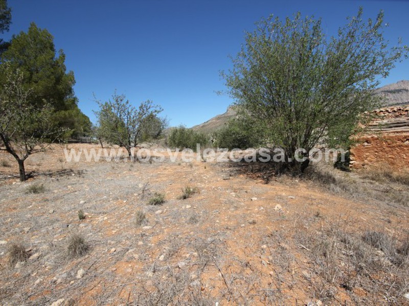 LVC309: Country Property to Reform for sale in Velez-Rubio, Almería