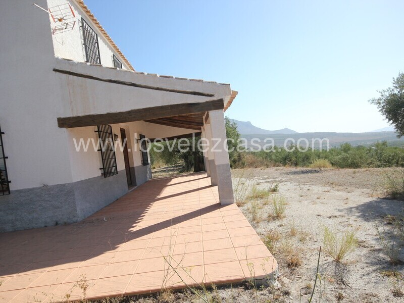 LVC326: Detached Character House for sale in Velez-Blanco, Almería