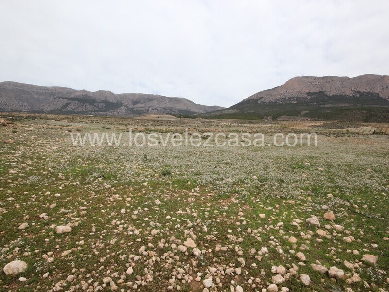 LVC333: Land for sale in Velez-Rubio, Almería