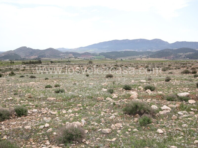 LVC333: Land for sale in Velez-Rubio, Almería