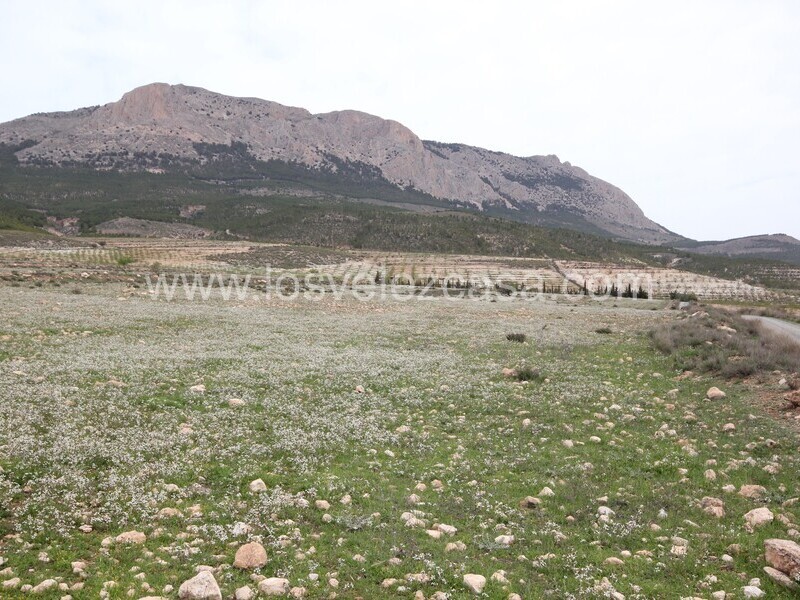 LVC333: Land for sale in Velez-Rubio, Almería