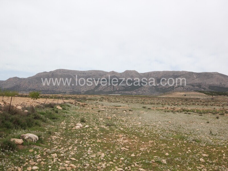 LVC333: Land for sale in Velez-Rubio, Almería