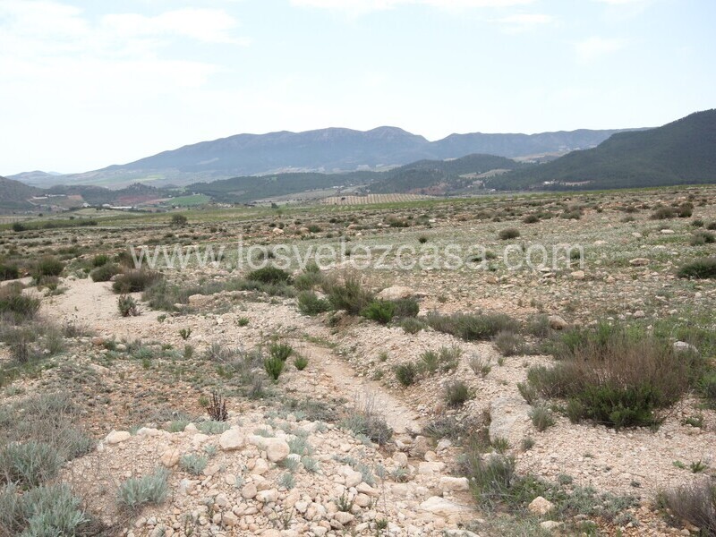 LVC333: Land for sale in Velez-Rubio, Almería