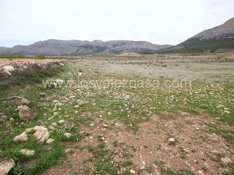 LVC333: Land for sale in Velez-Rubio, Almería