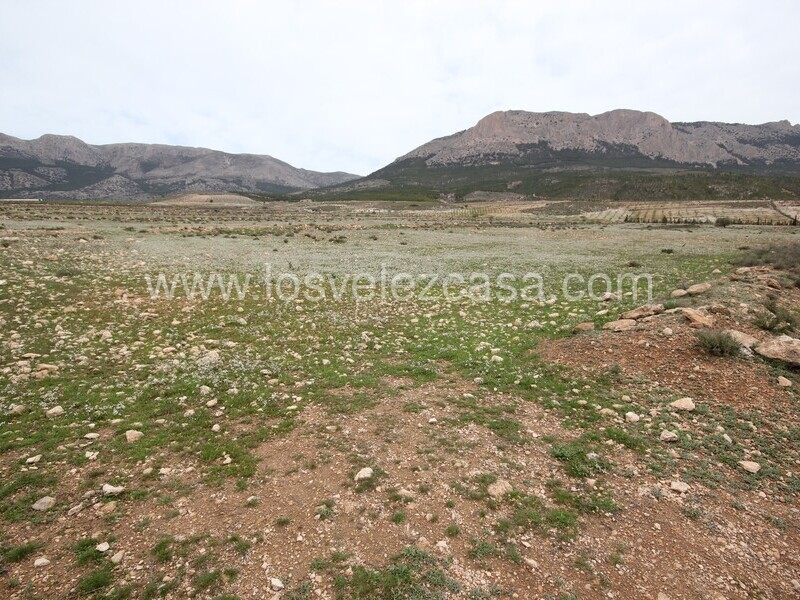 LVC333: Land for sale in Velez-Rubio, Almería