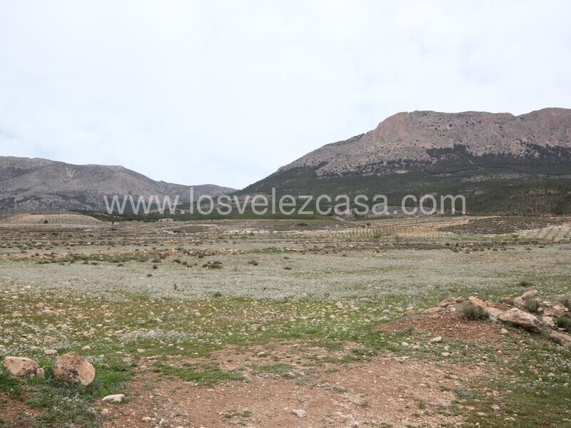 LVC333: Land for sale in Velez-Rubio, Almería