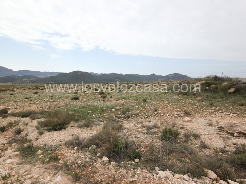 LVC333: Land for sale in Velez-Rubio, Almería