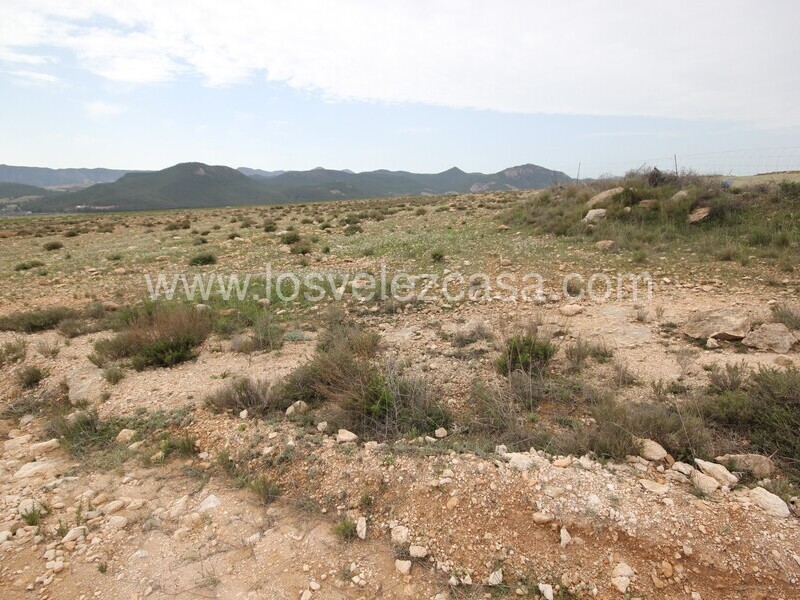 LVC333: Land for sale in Velez-Rubio, Almería