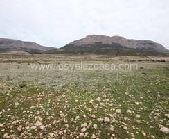 LVC333: Terreno en Velez-Rubio, Almería