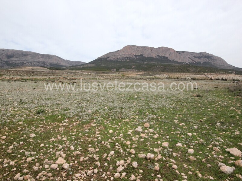 LVC333: Land for sale in Velez-Rubio, Almería