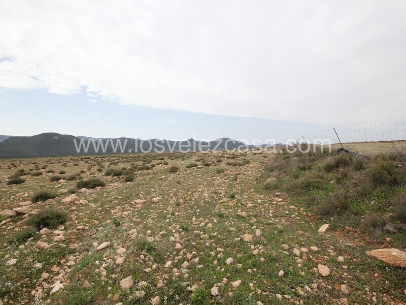 LVC333: Land for sale in Velez-Rubio, Almería