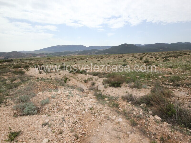 LVC333: Land for sale in Velez-Rubio, Almería