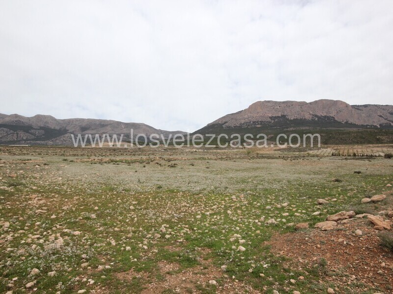 LVC333: Land for sale in Velez-Rubio, Almería