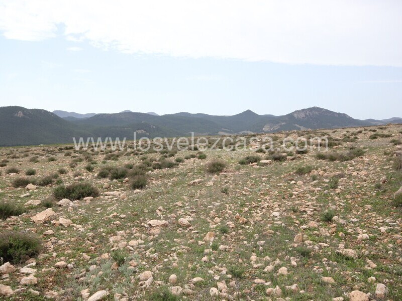 LVC333: Land for sale in Velez-Rubio, Almería