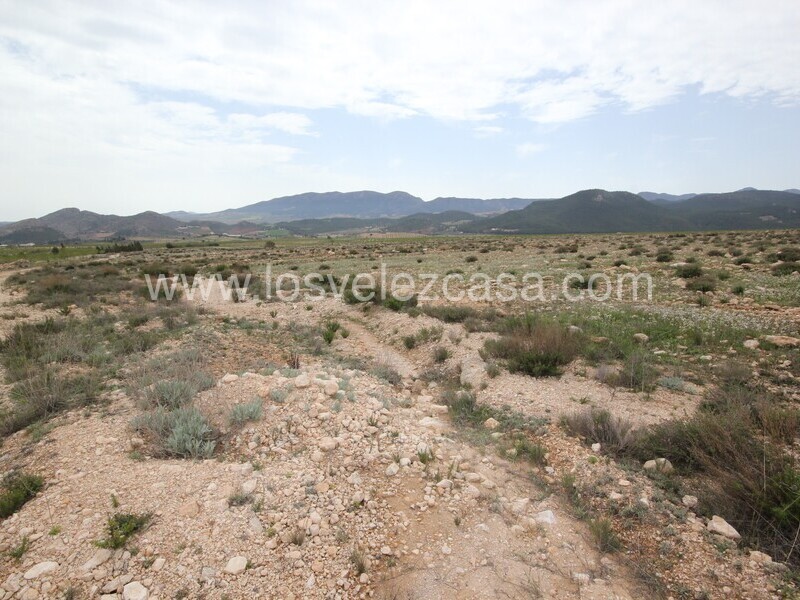 LVC333: Land for sale in Velez-Rubio, Almería