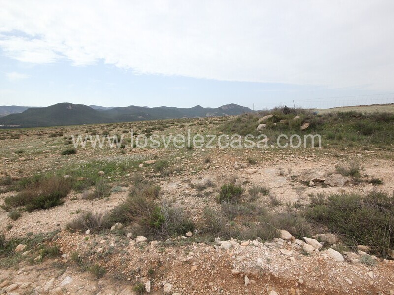 LVC333: Land for sale in Velez-Rubio, Almería