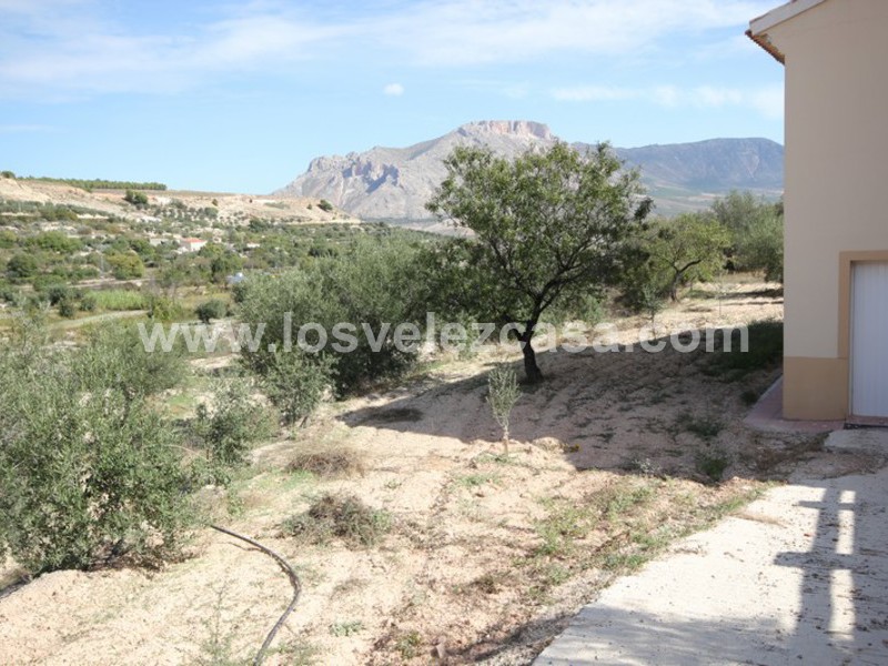 LVC351: Detached Character House for sale in Velez-Blanco, Almería