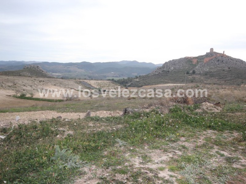 LVC363: Small Holding for sale in La Parroquia, Murcia