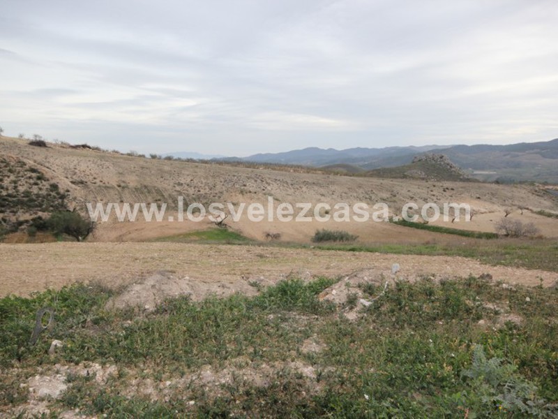 LVC363: Small Holding for sale in La Parroquia, Murcia