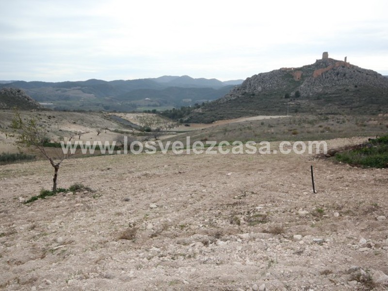 LVC363: Small Holding for sale in La Parroquia, Murcia