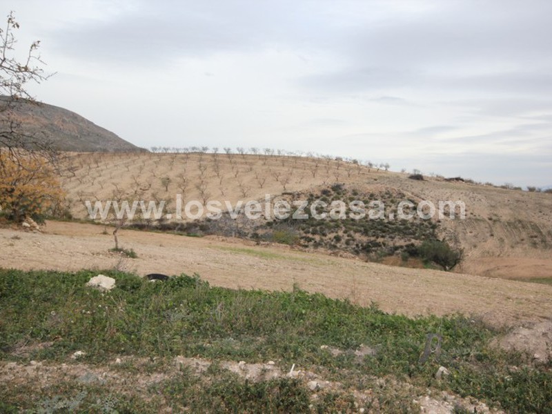 LVC363: Small Holding for sale in La Parroquia, Murcia